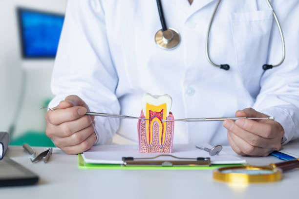 Best 24-Hour Emergency Dental Care in Caledonia, MS